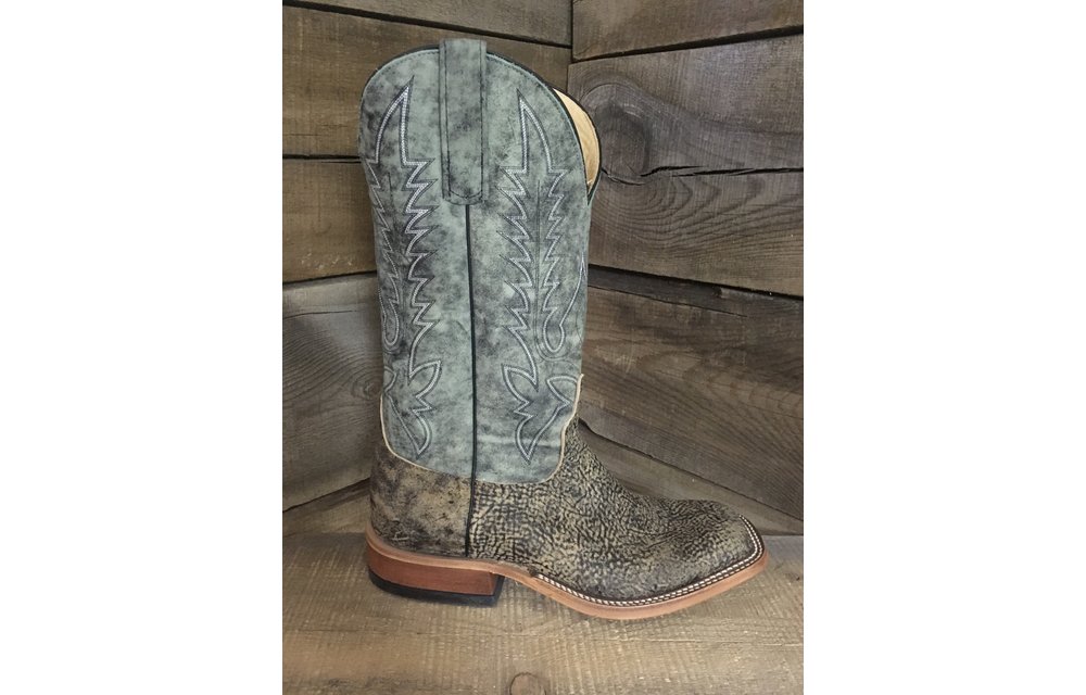 anderson bean giraffe