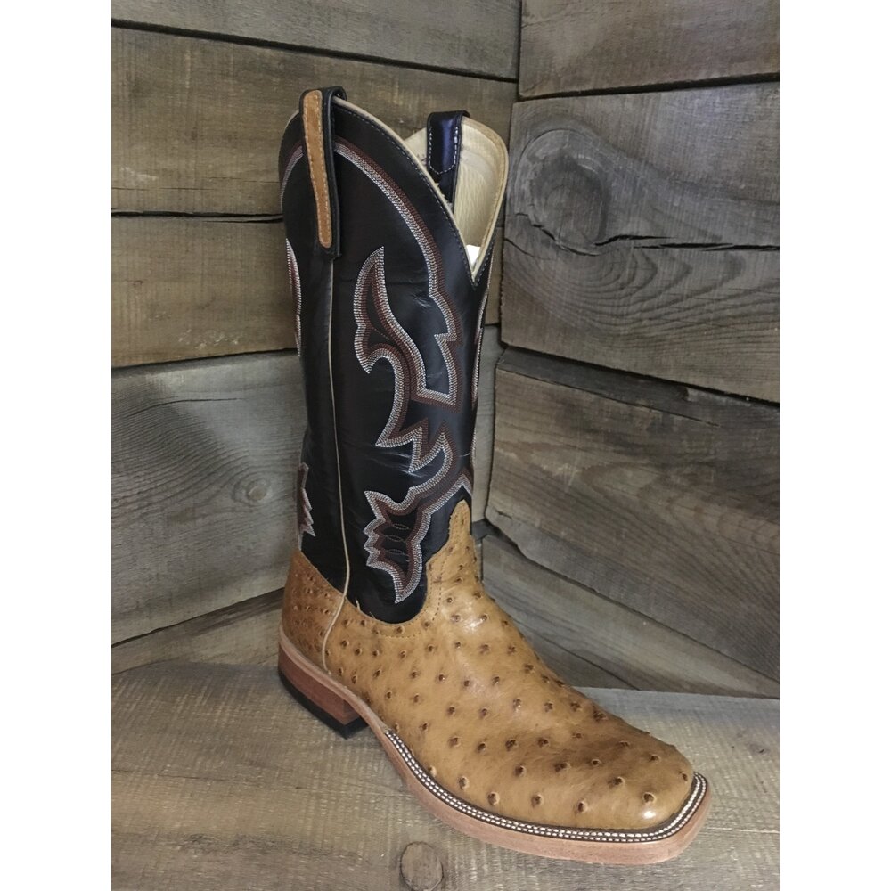 Anderson bean clearance best sale