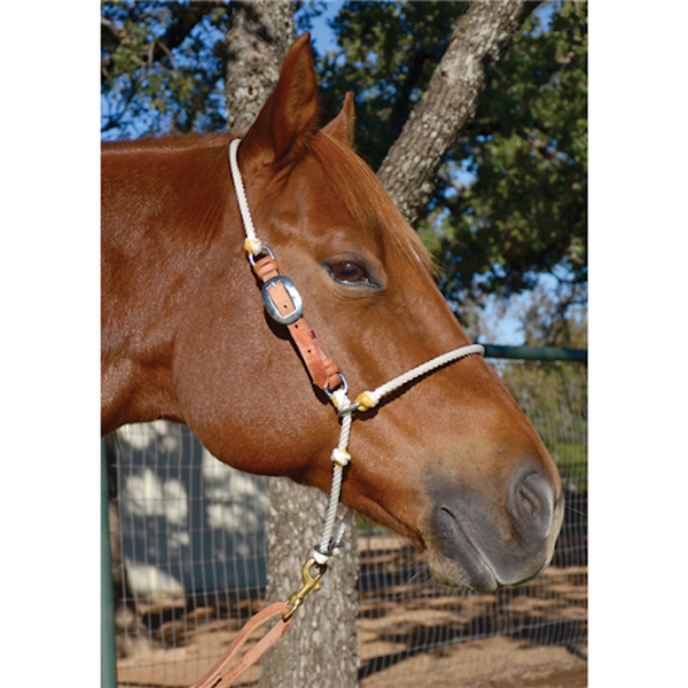 Martin Headsetter Tie Down Adjustable Htdra Corral Western Wear