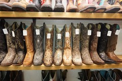 Women's Boots