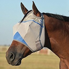 Fly Care
