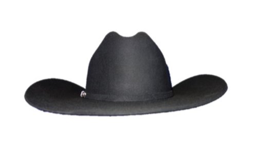 Stetson Stetson El Patron 30X Felt Hat 