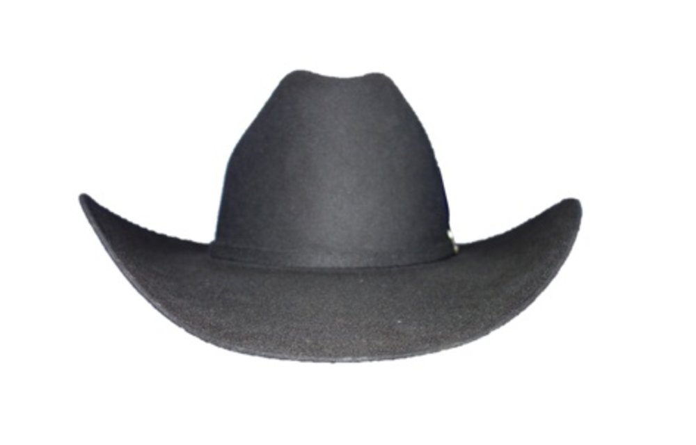 Stetson Stetson El Patron 30X Felt Hat 