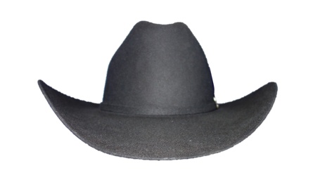Stetson Stetson El Patron 30X Felt Hat 