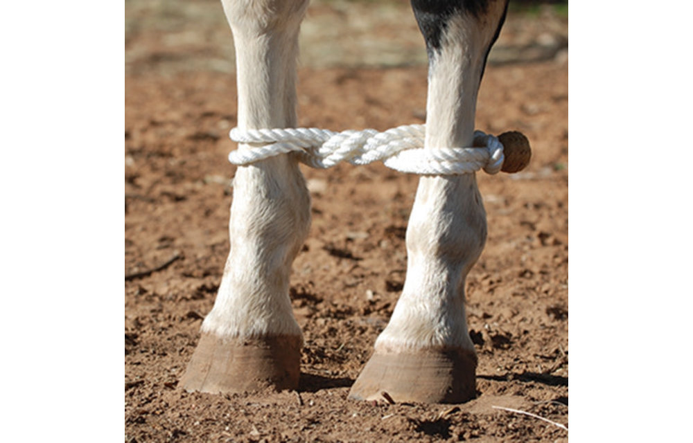 MARTIN ROPE HOBBLE ROPEHOB Corral Western Wear