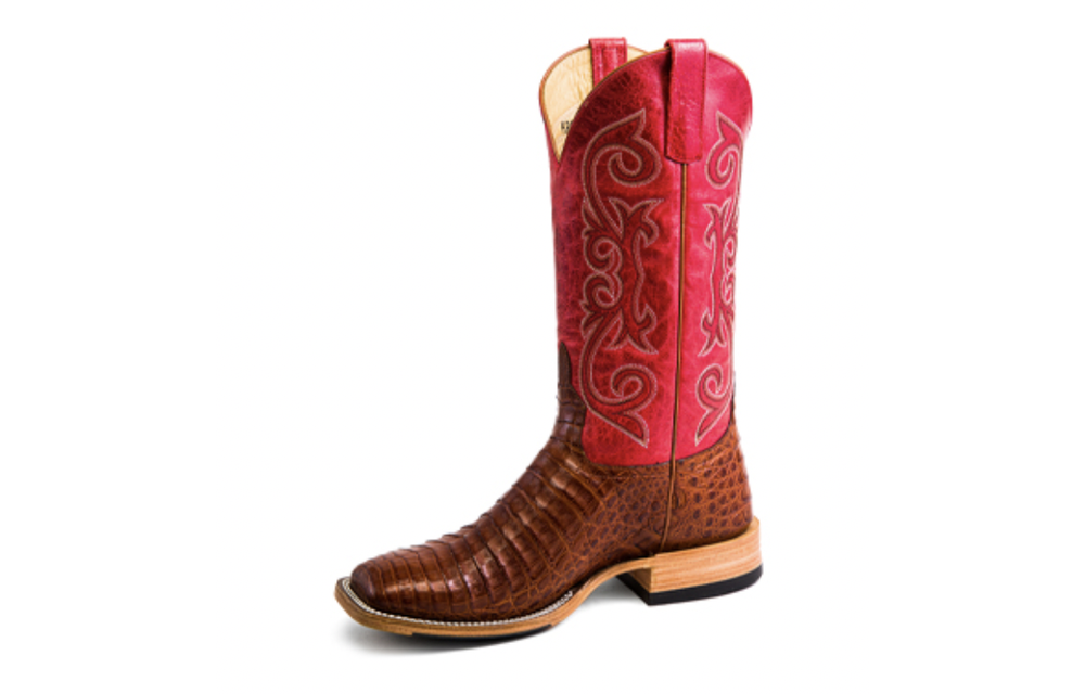 HORSE POWER BRANDY CAIMAN BELLY HP8003 Corral Western Wear