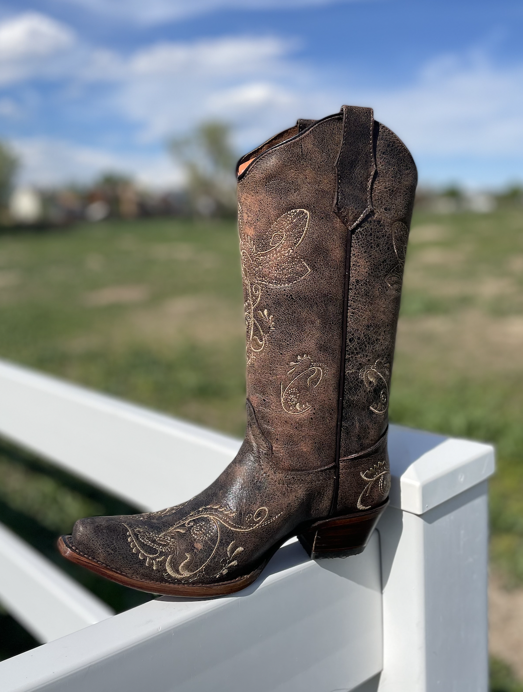 Corral Women's Studded Brown Tall Western Boot Snip Toe A4097