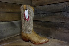 Nocona Boots