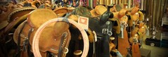 Saddles