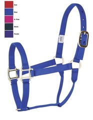 Products tagged with 1" Horse Halter