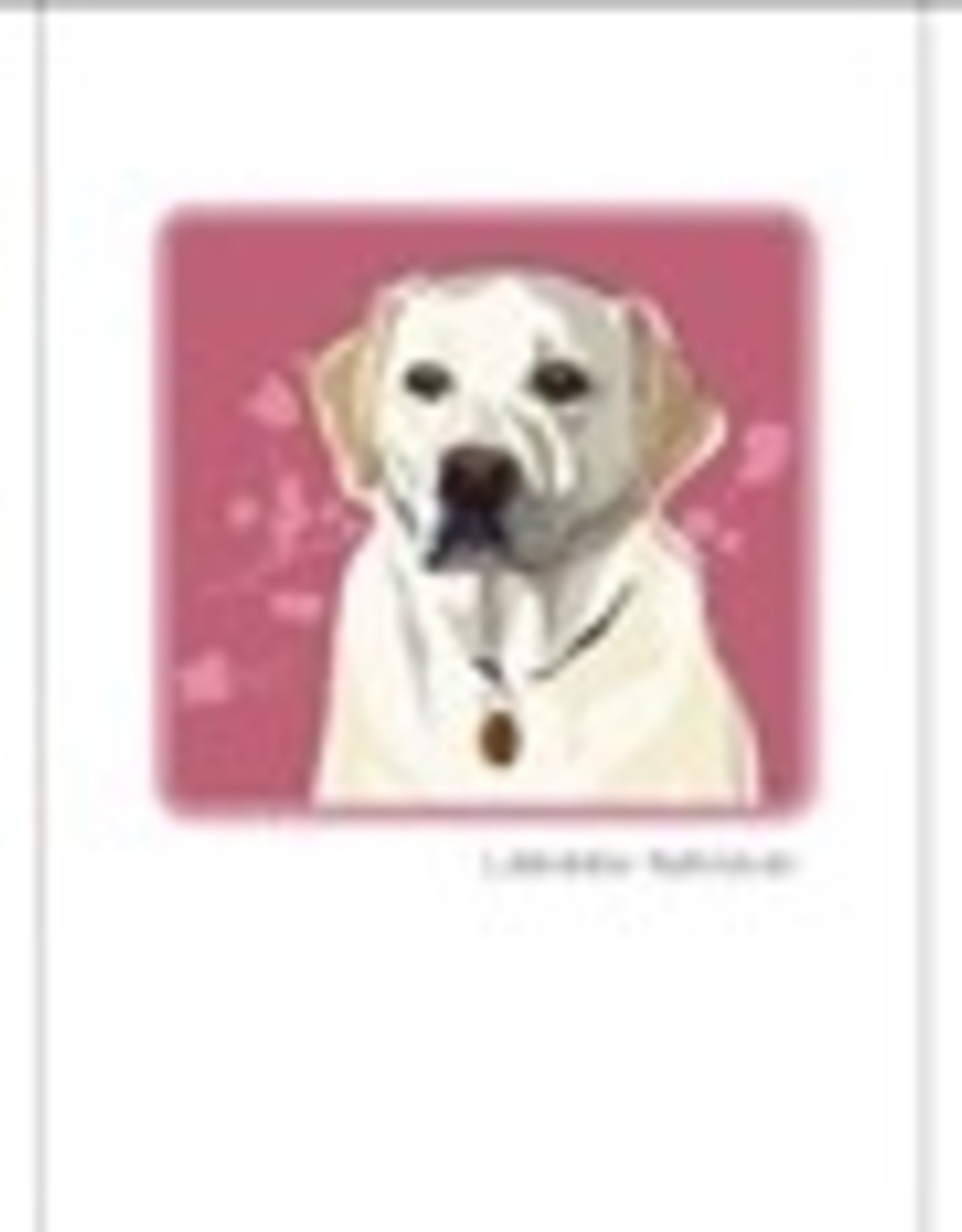 Paper Russells White Lab Head Shot
