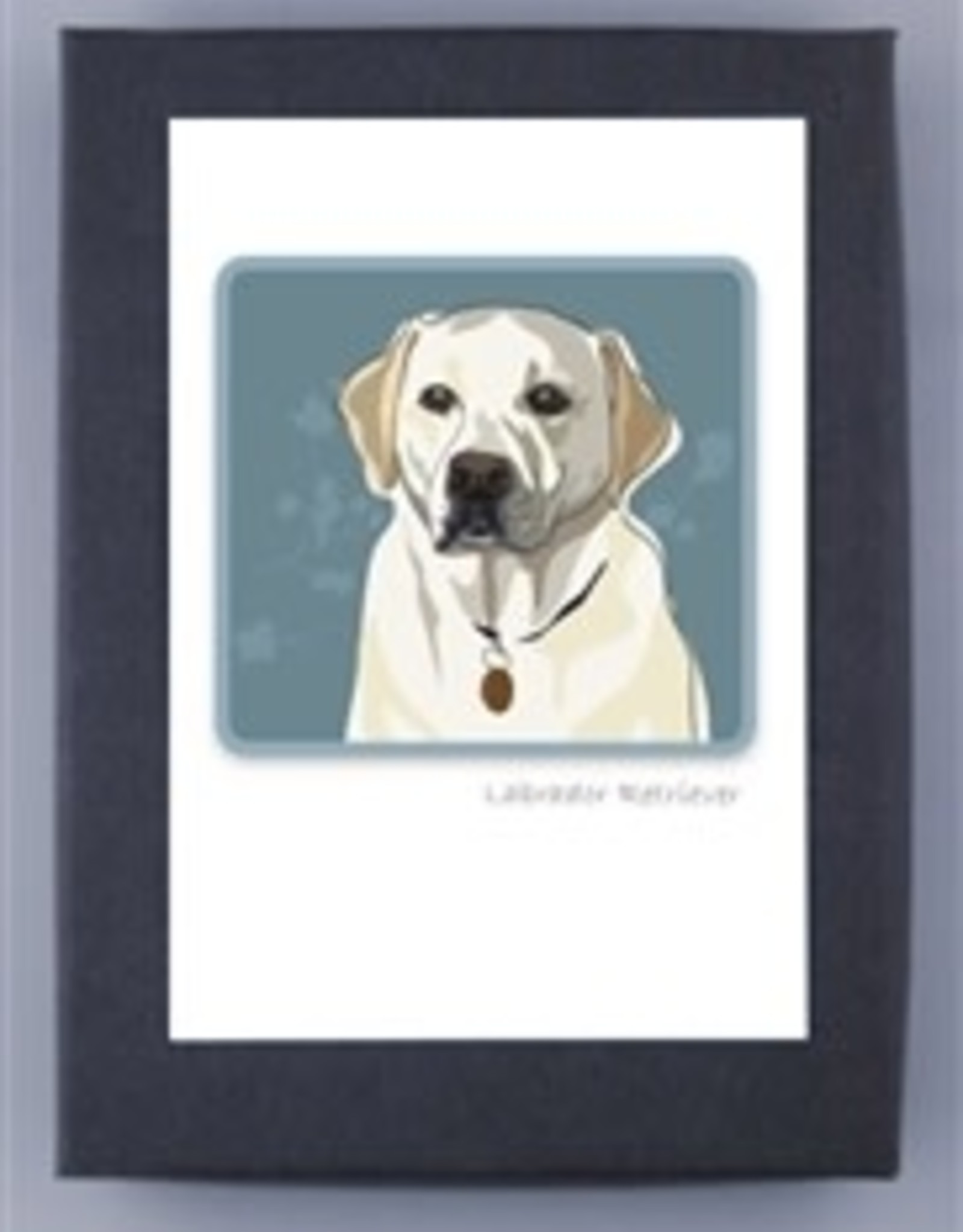 Paper Russells White Lab Head Shot