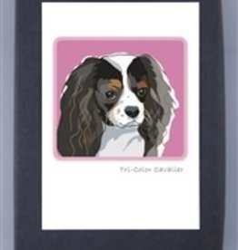 Paper Russells Tri-color Cavalier Head Shot