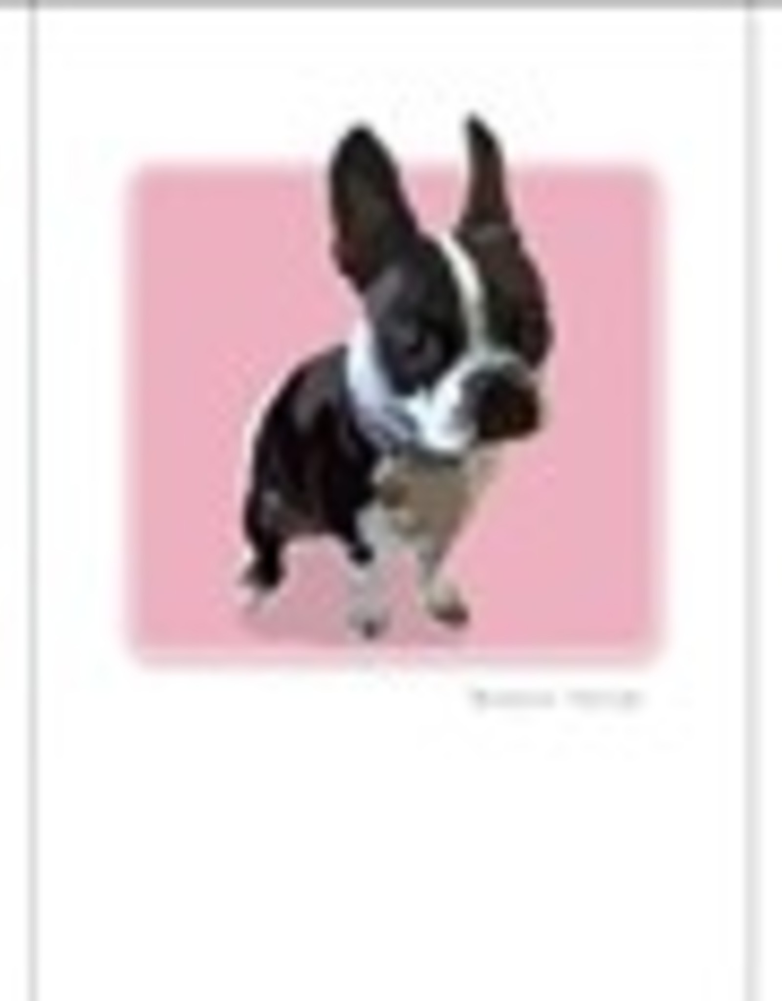 Paper Russells Boston T. Sitting