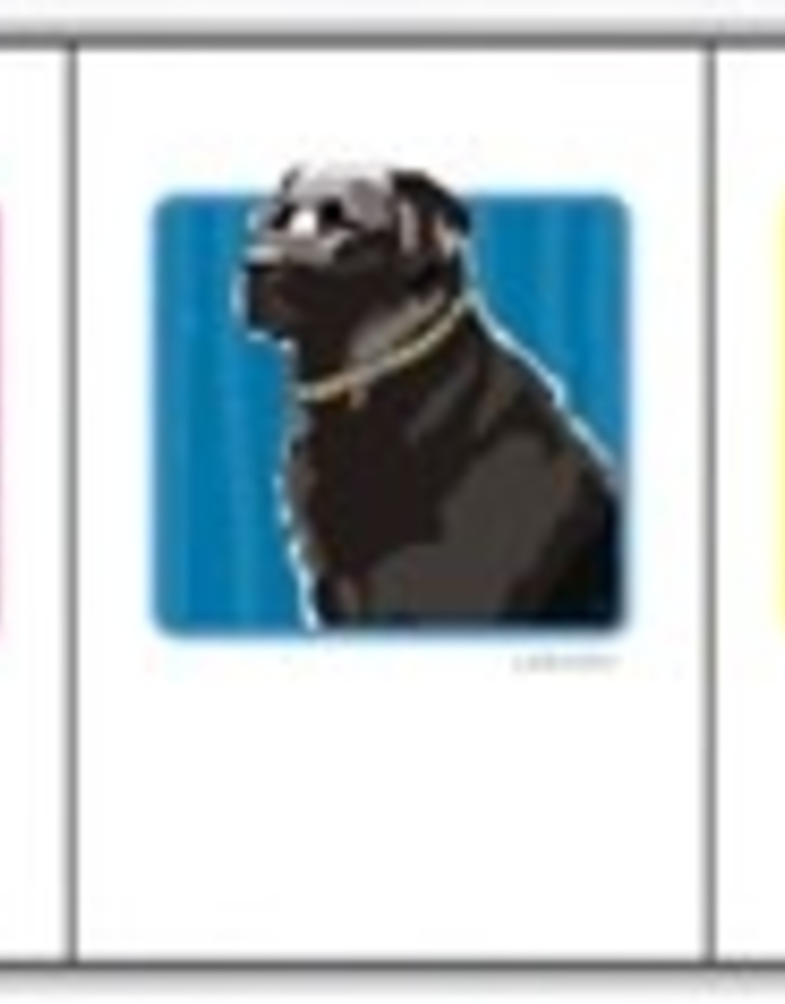 Paper Russells Black Lab Side Profile Cards