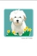 Paper Russells Coton de Tulear Notecards