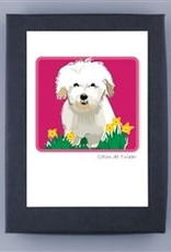 Paper Russells Coton de Tulear Notecards