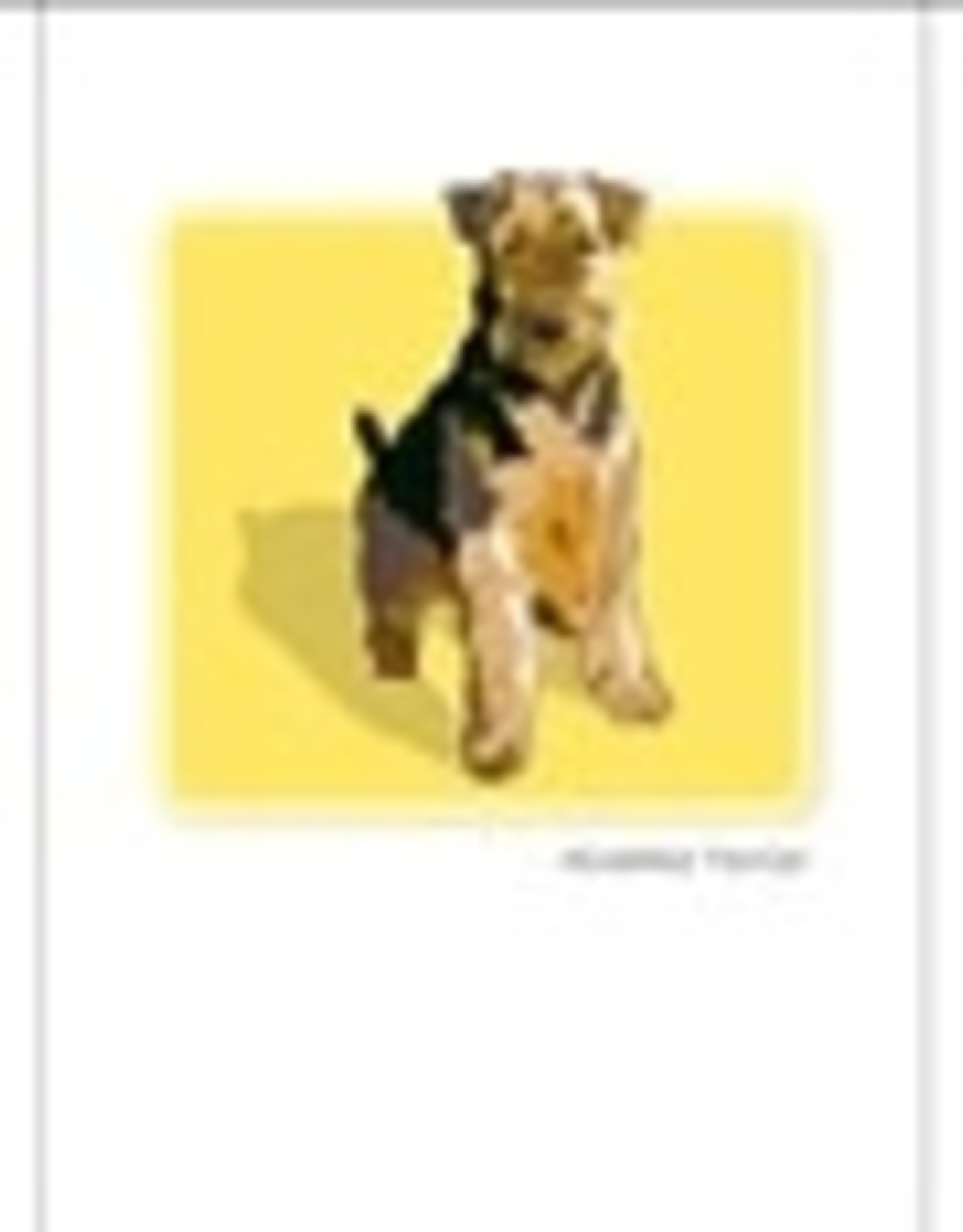 Paper Russells Airedale Terrier Notecards