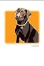 Paper Russells Lab Choco Boxed Notes