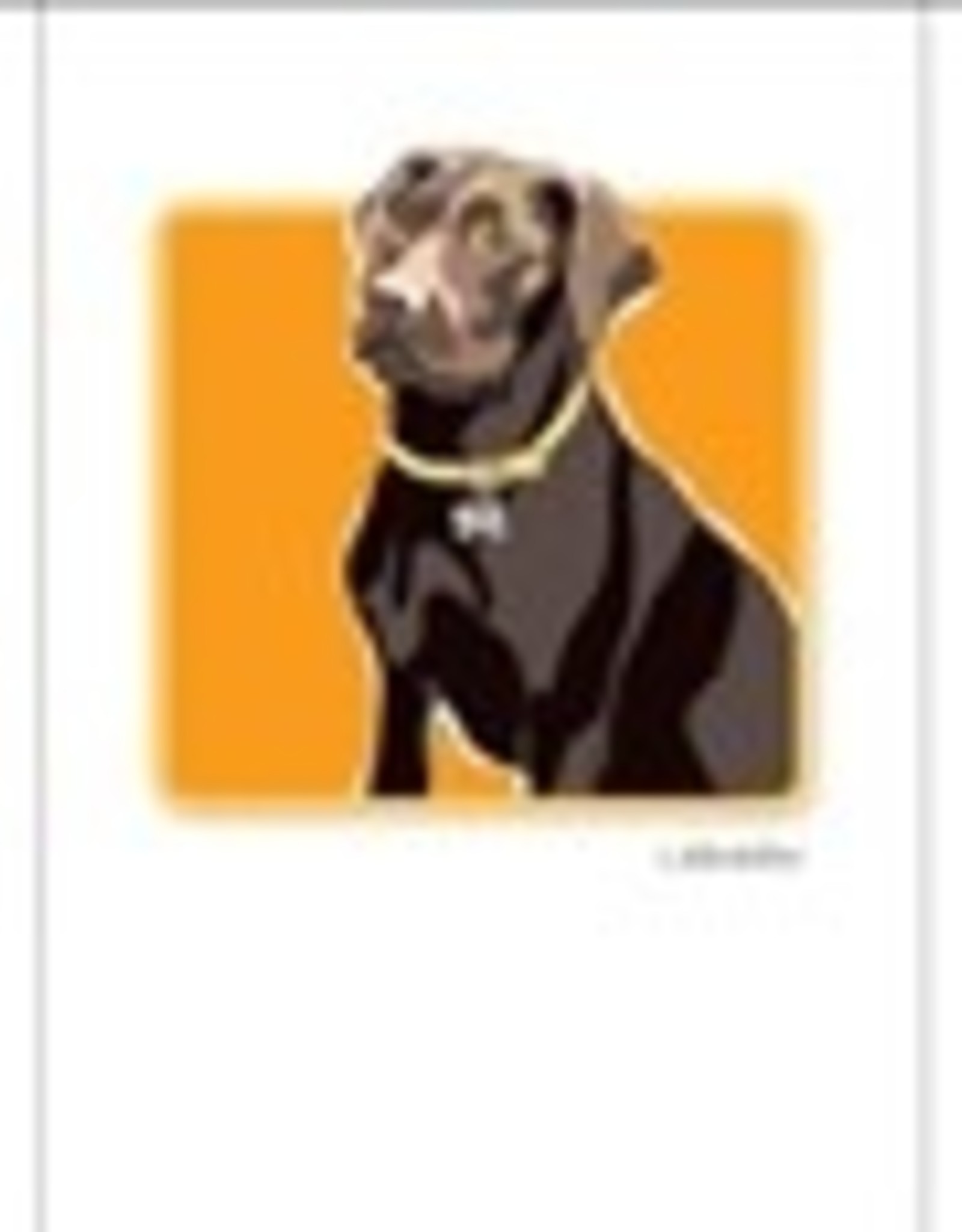 Paper Russells Lab Choco Boxed Notes