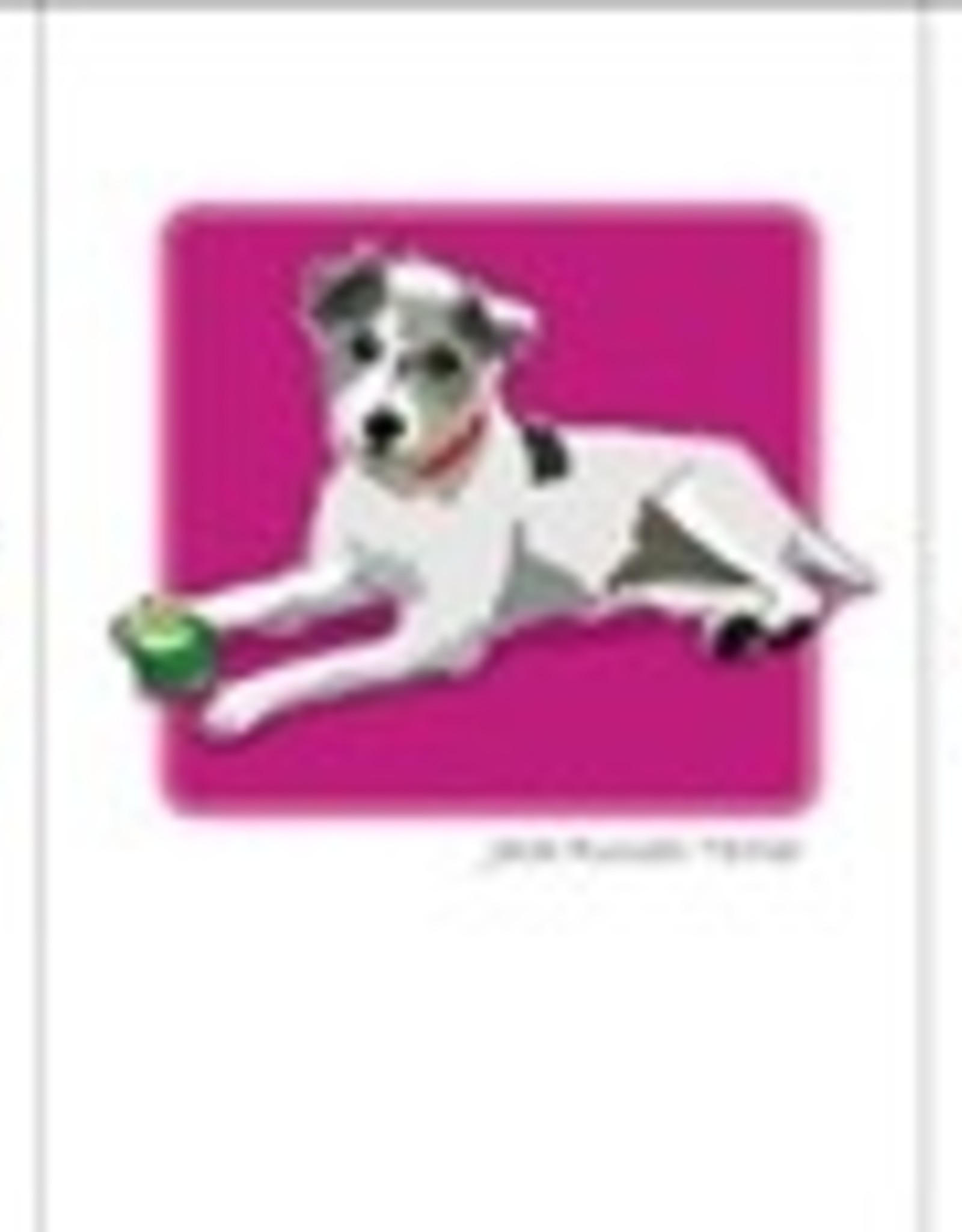 Paper Russells Jack Russell Wire Coat Notecards
