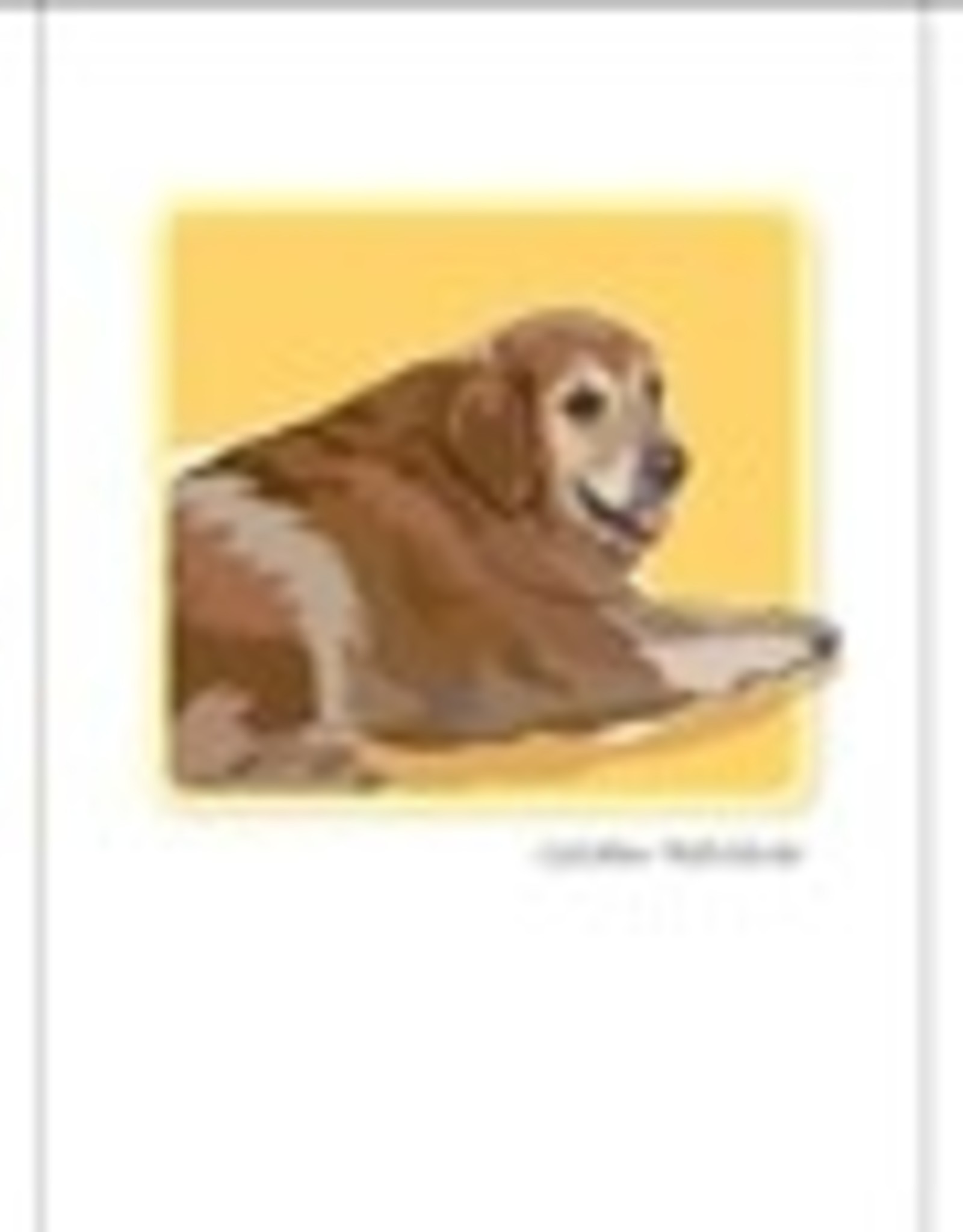 Paper Russells Golden Retriever Sitting Notecards
