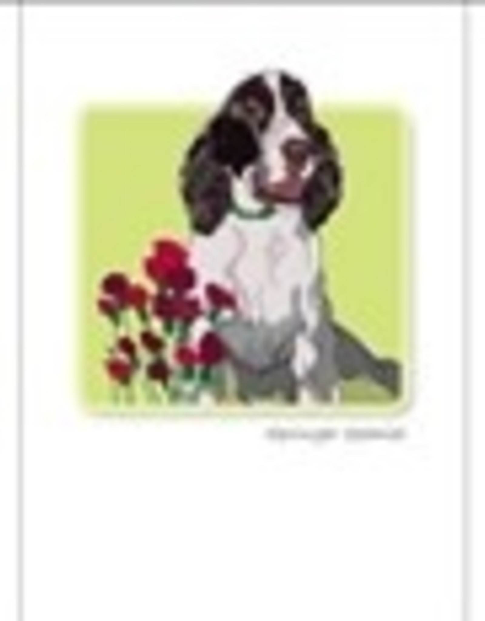 Paper Russells Springer Spaniel w/flowers