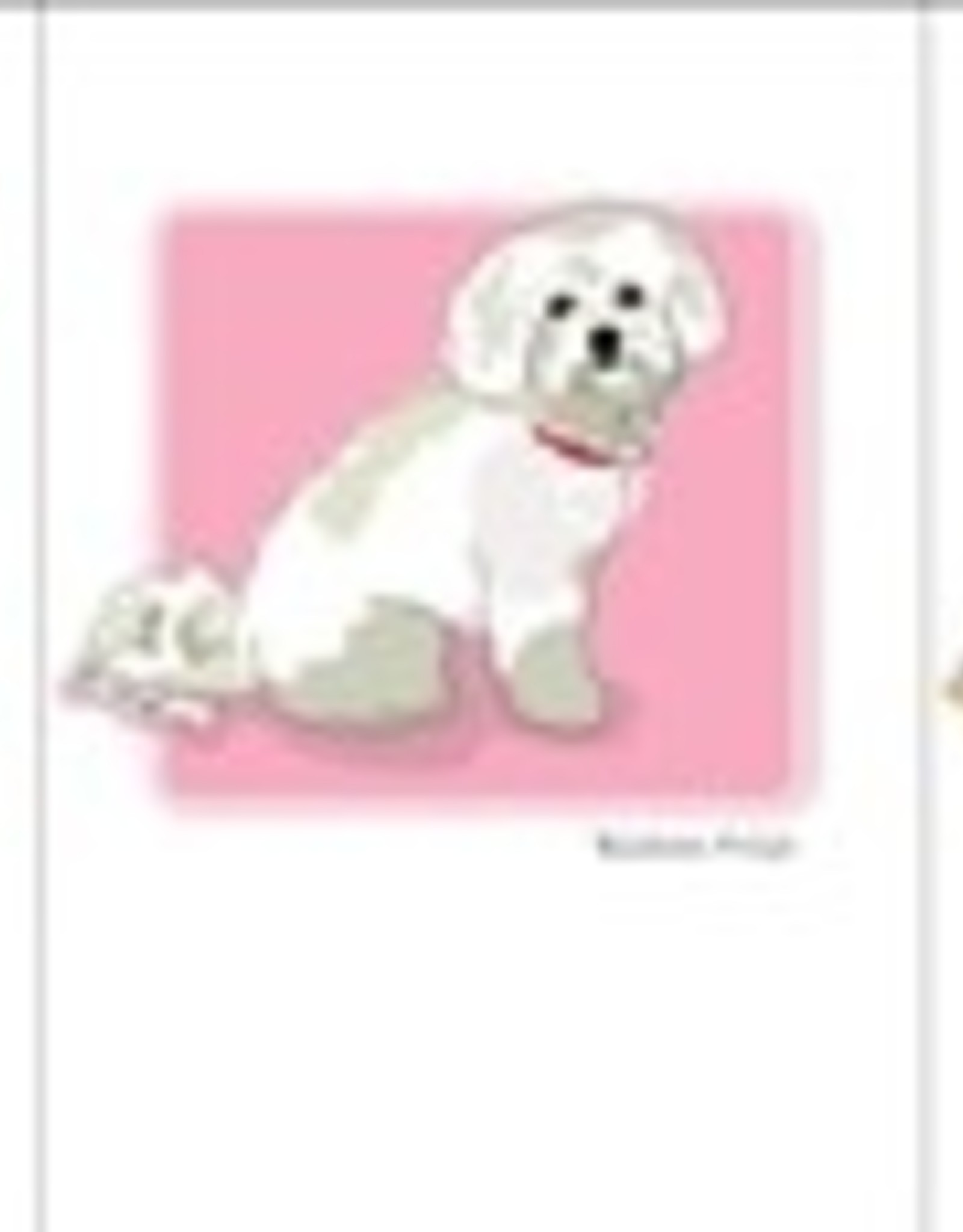 Paper Russells Bichon Sitting Sideways-2