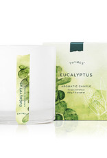 Thymes Eucalyptus Poured Candle