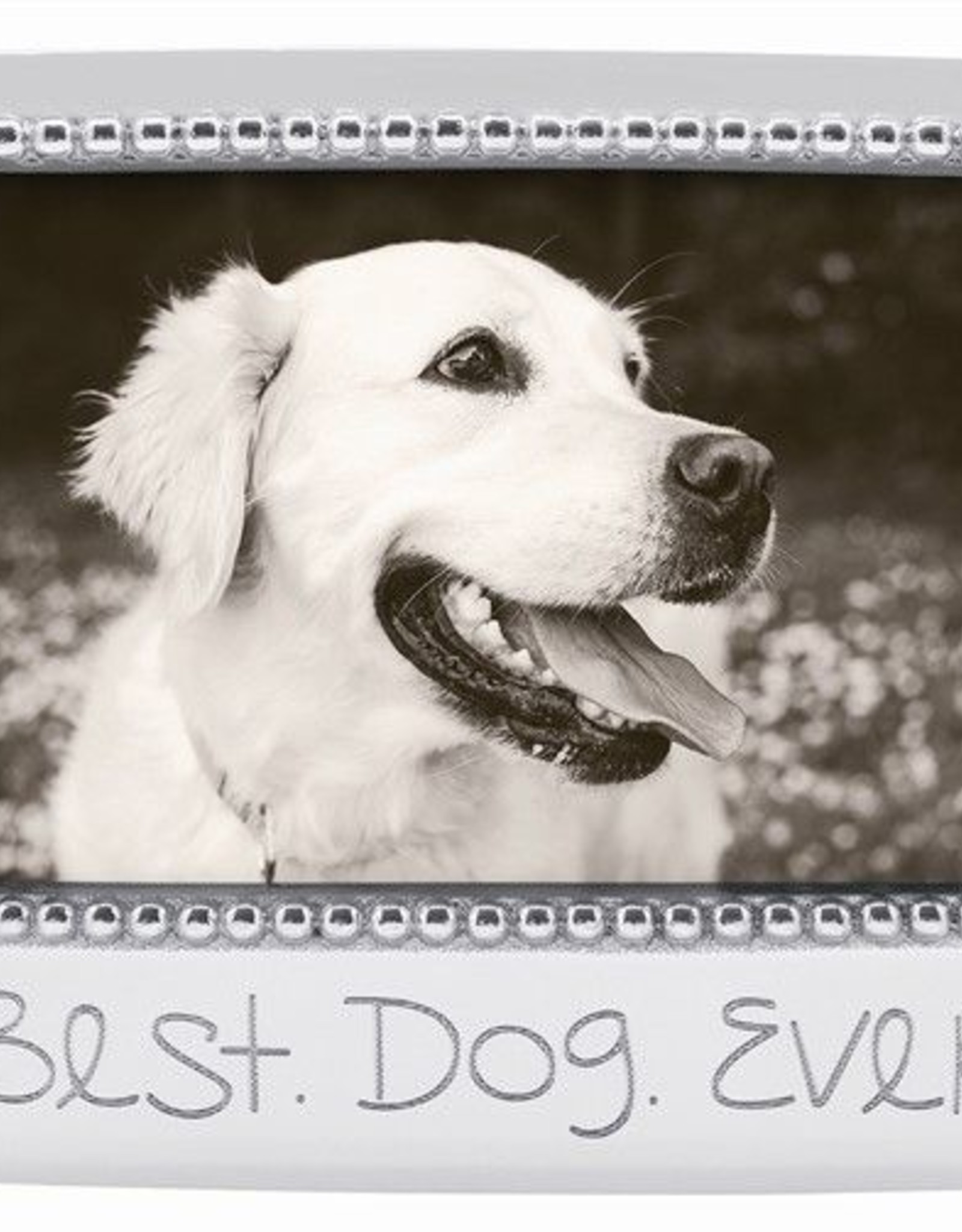 Mariposa Best Dog Ever Frame