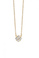 Spartina Crystal Clover Blessed Gold Necklace