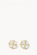 Spartina Crystal Clover Blessed Gold Earrings