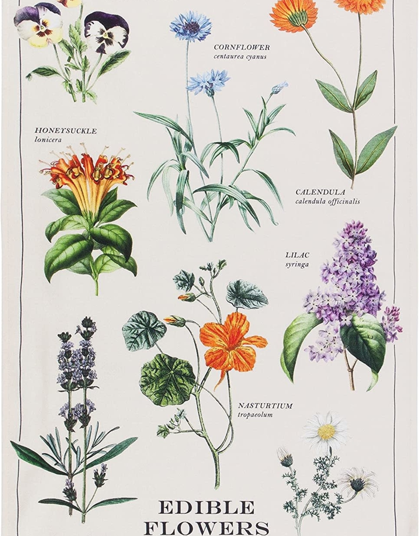 Now Designs Edible Flowers Dishtowel