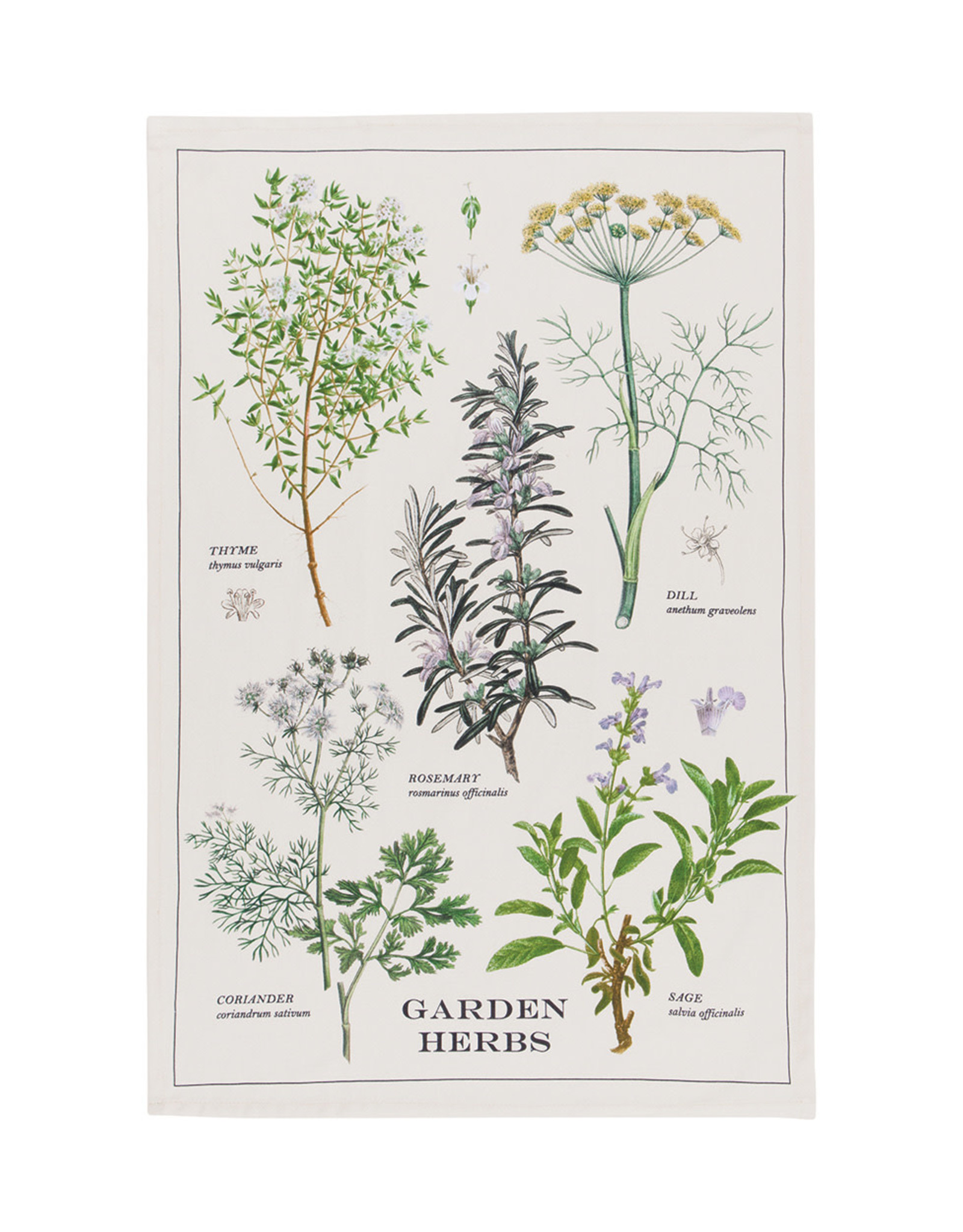 Garden Herbs Printed Dishtowel