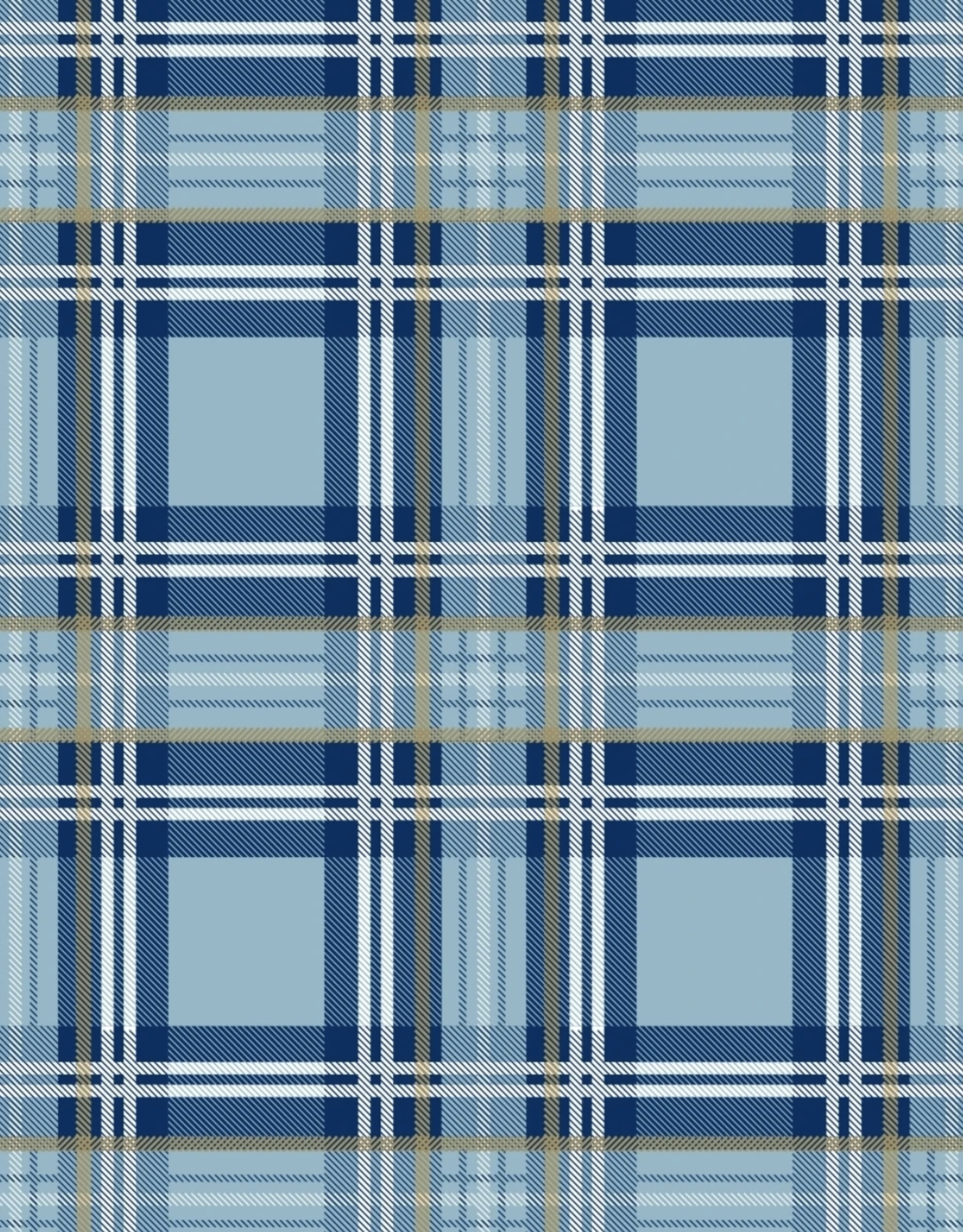 Gift Wrap Blue Plaid