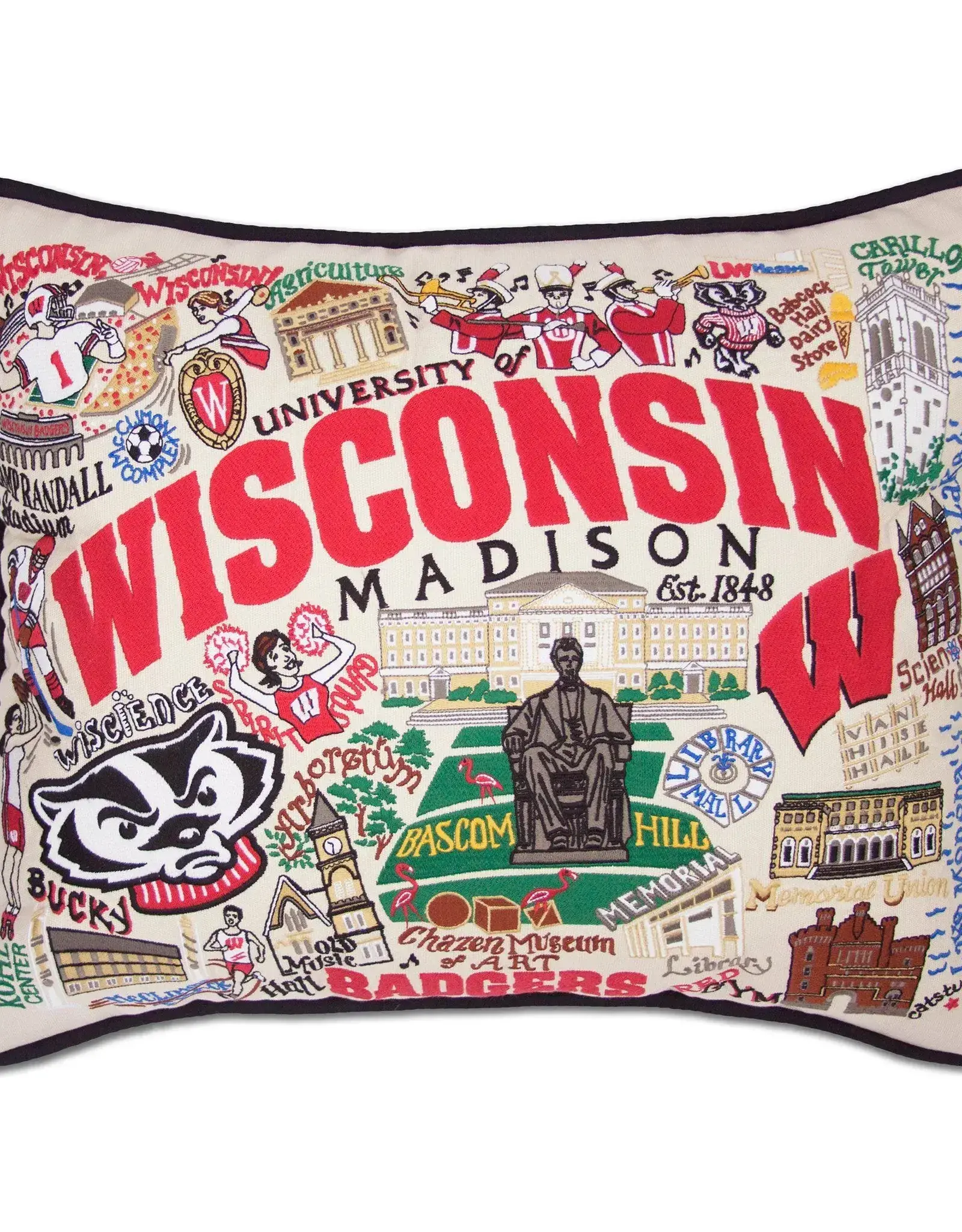Catstudio Wisconsin University of Pillow