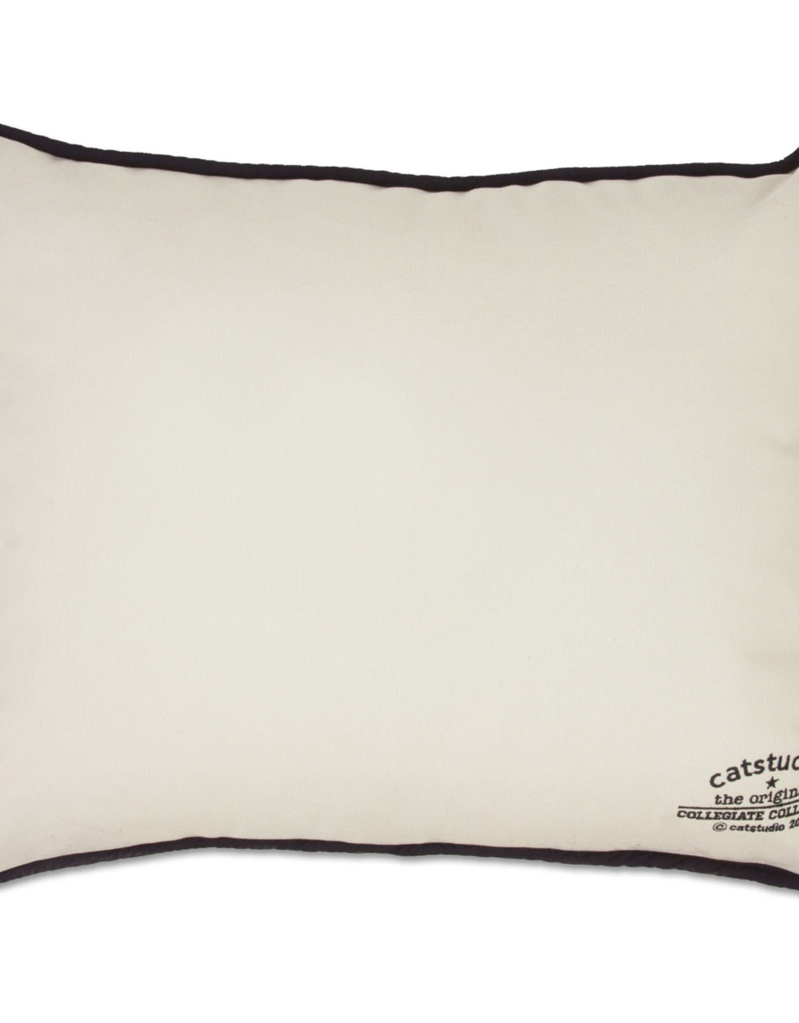 Catstudio Wisconsin University of Pillow