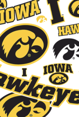 Tervis Tumbler 16oz/lid Iowa Hawkeyes Allover