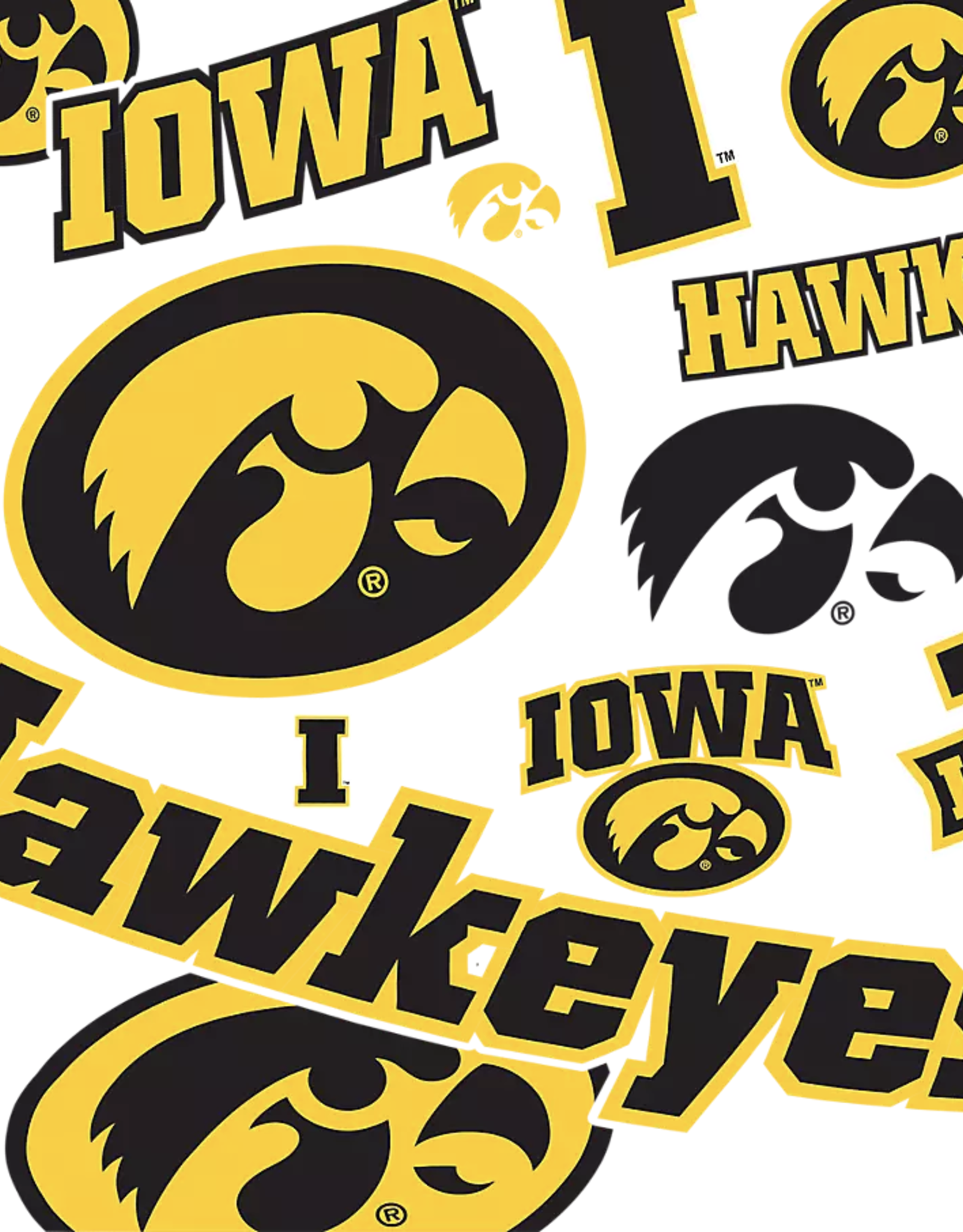 Tervis Tumbler 16oz/lid Iowa Hawkeyes Allover
