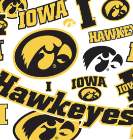 Tervis Tumbler 16oz/lid Iowa Hawkeyes Allover