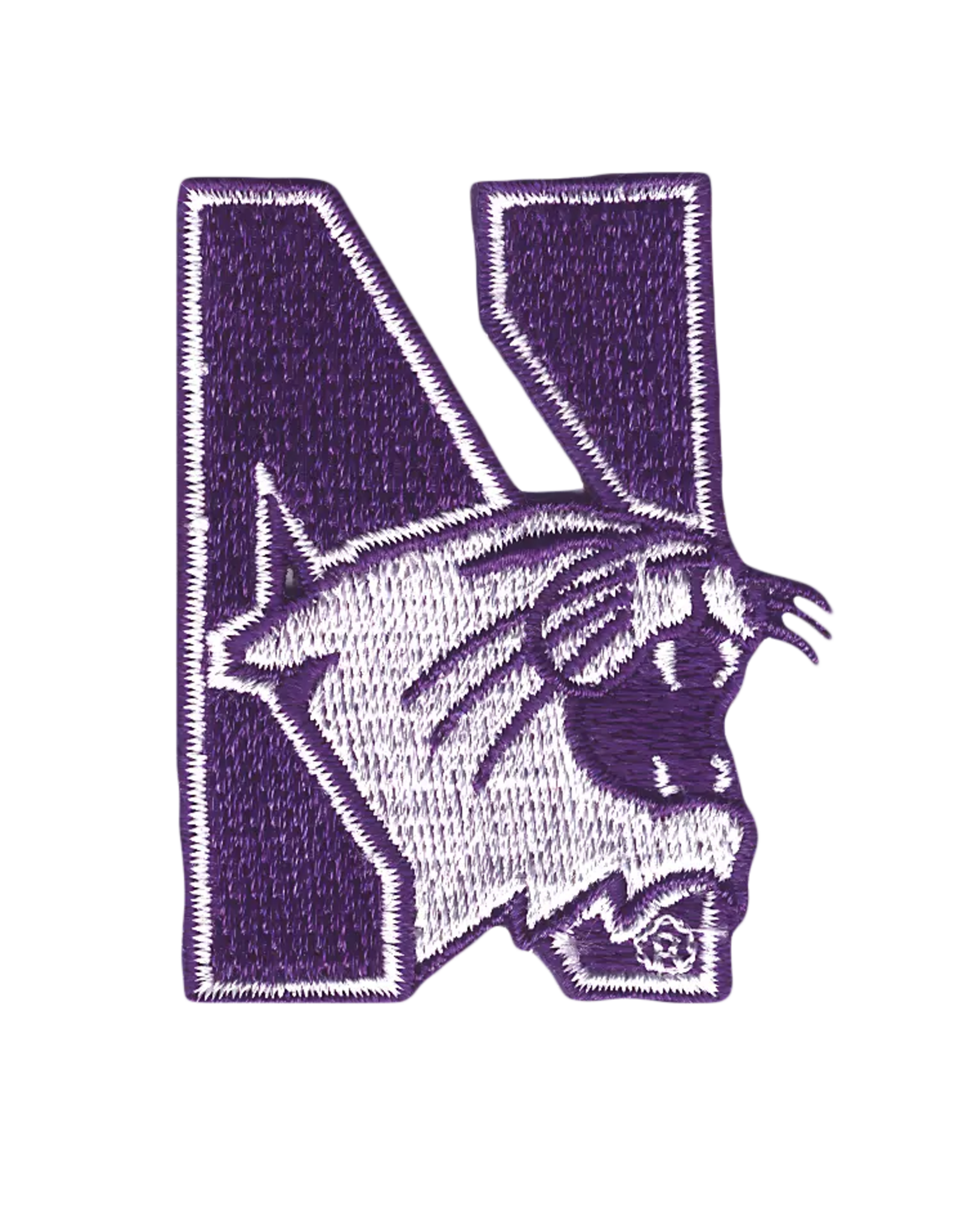 Tervis Tumbler 16oz/lid Northwestern Logo