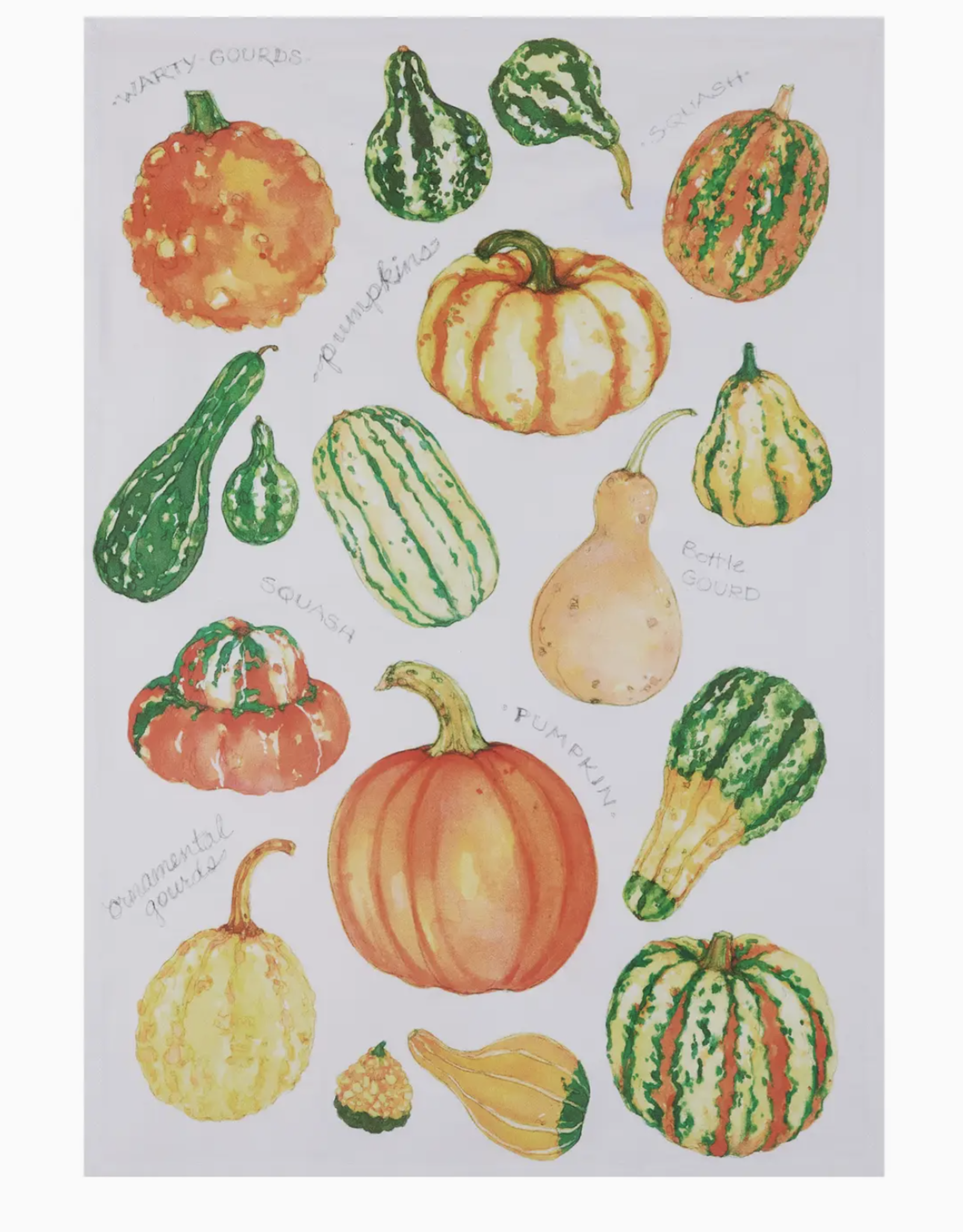 Field Guide Gourds Towel