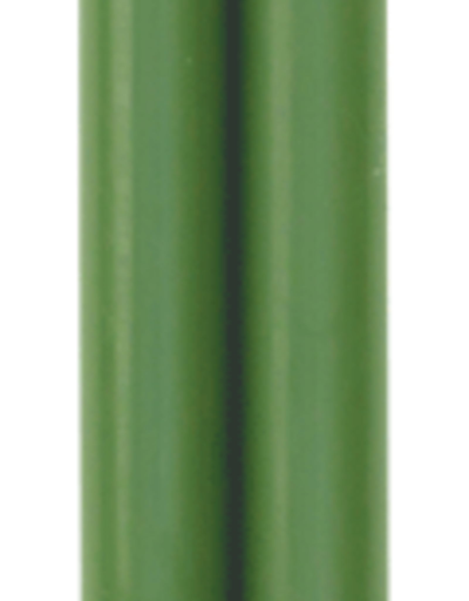 Caspari Leaf Green  Duet Crown Candles Pair