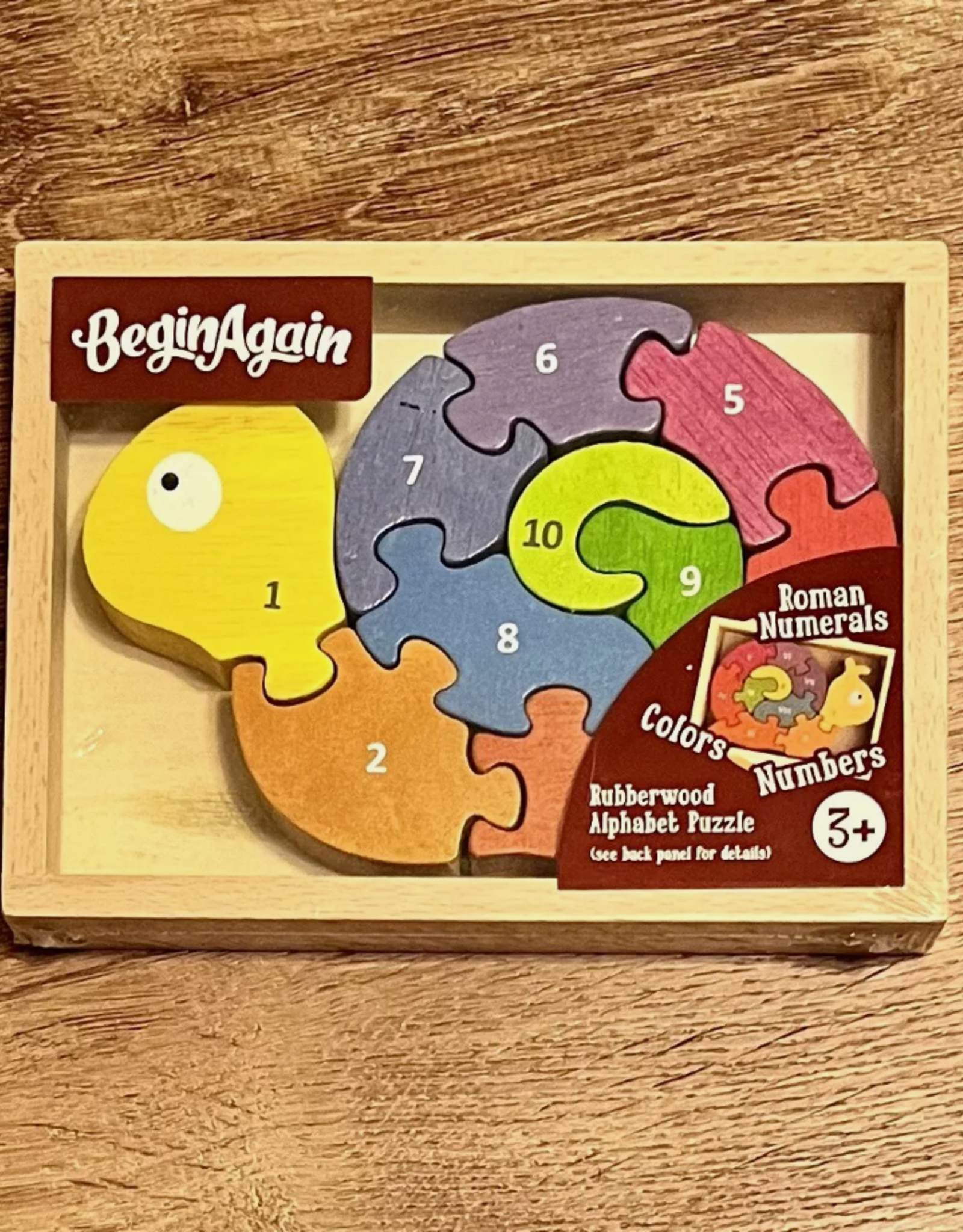 Begin Again Number Snail Puzzle xx