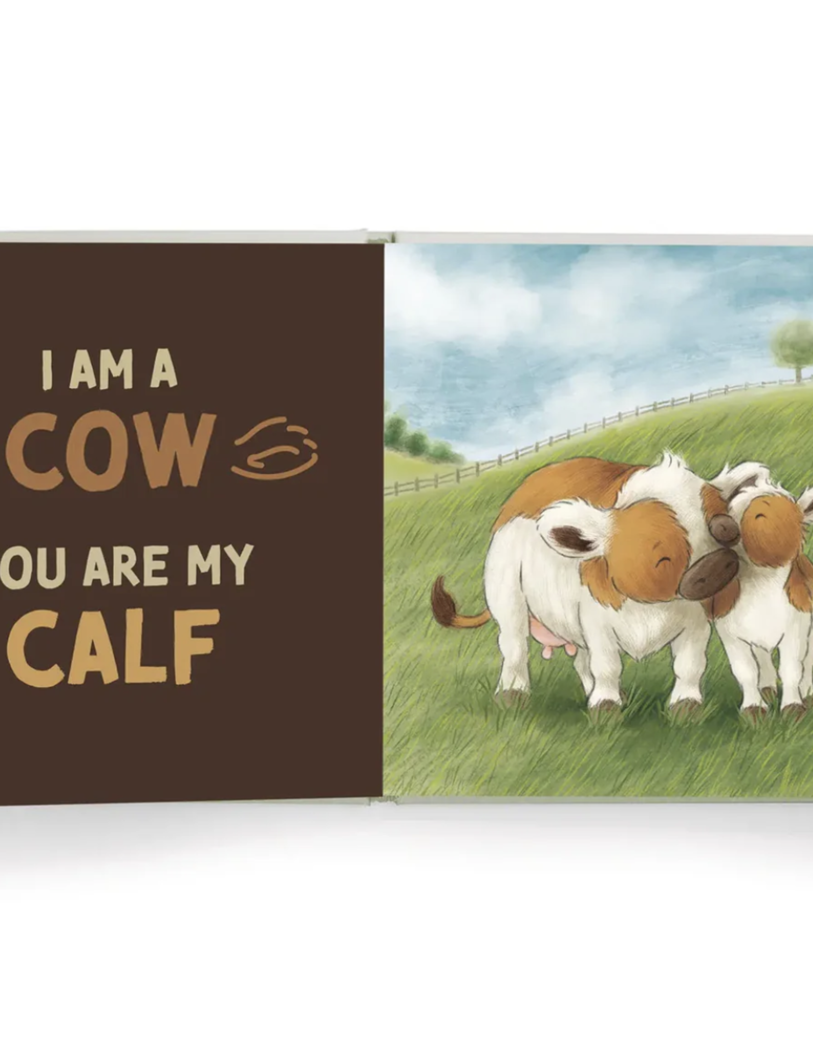 Bunnies by the Bay You Are My Baby Board Book