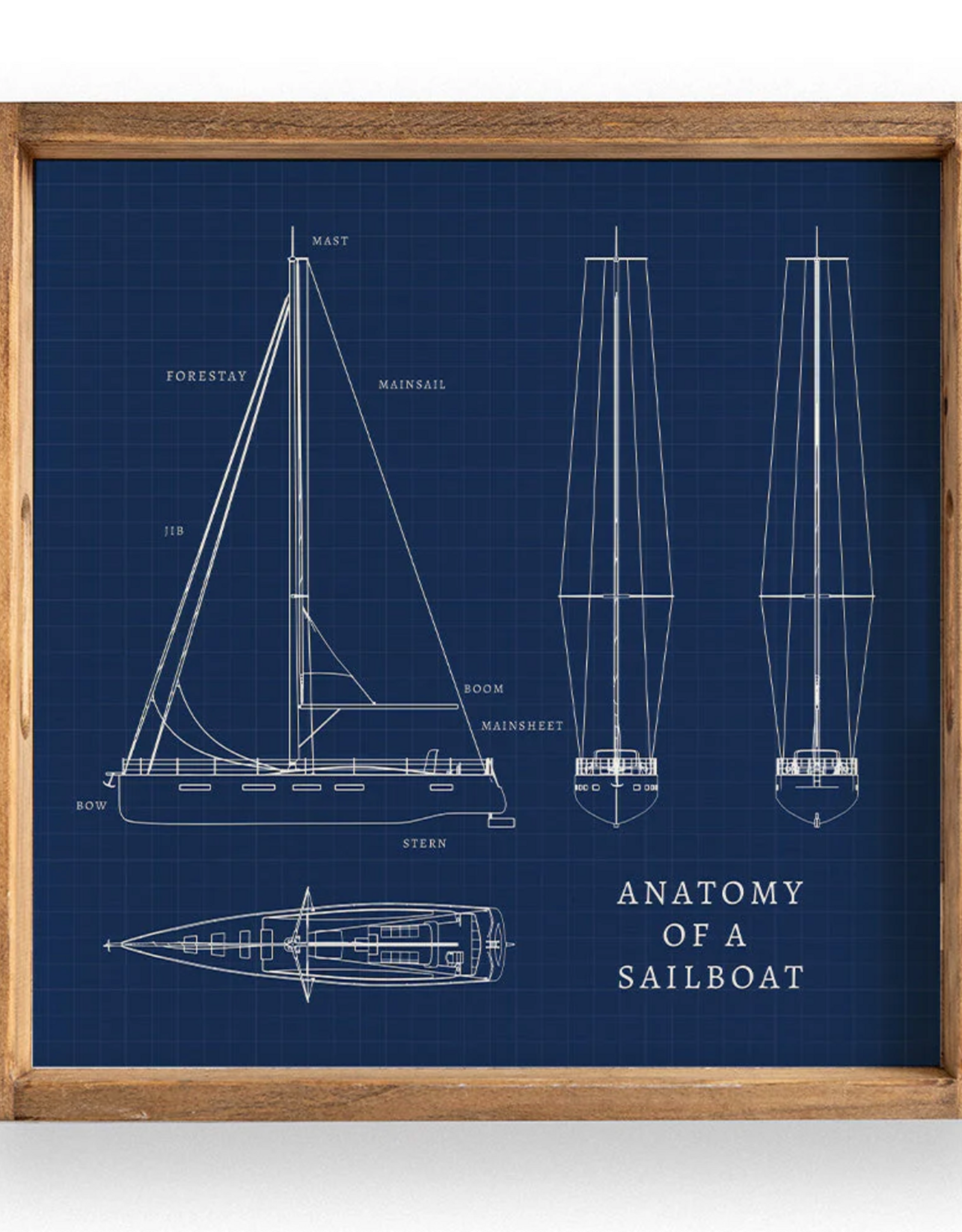 Rustic Marlin Sailboat Anatomy Tray