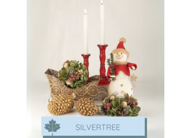 Silver Tree Home & Holiday