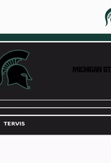 Tervis Tumbler 20oz Stainless Tumbler Michigan State Night Game