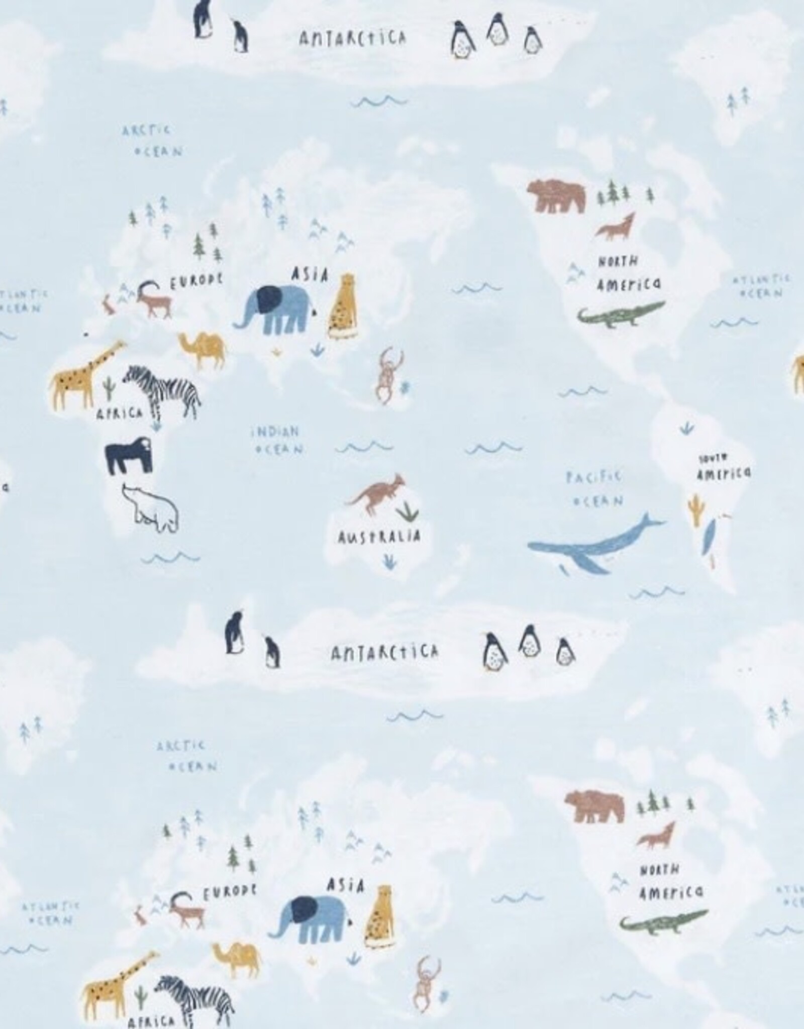 Magnetic Me Sea the World Modal Magnetic Footie