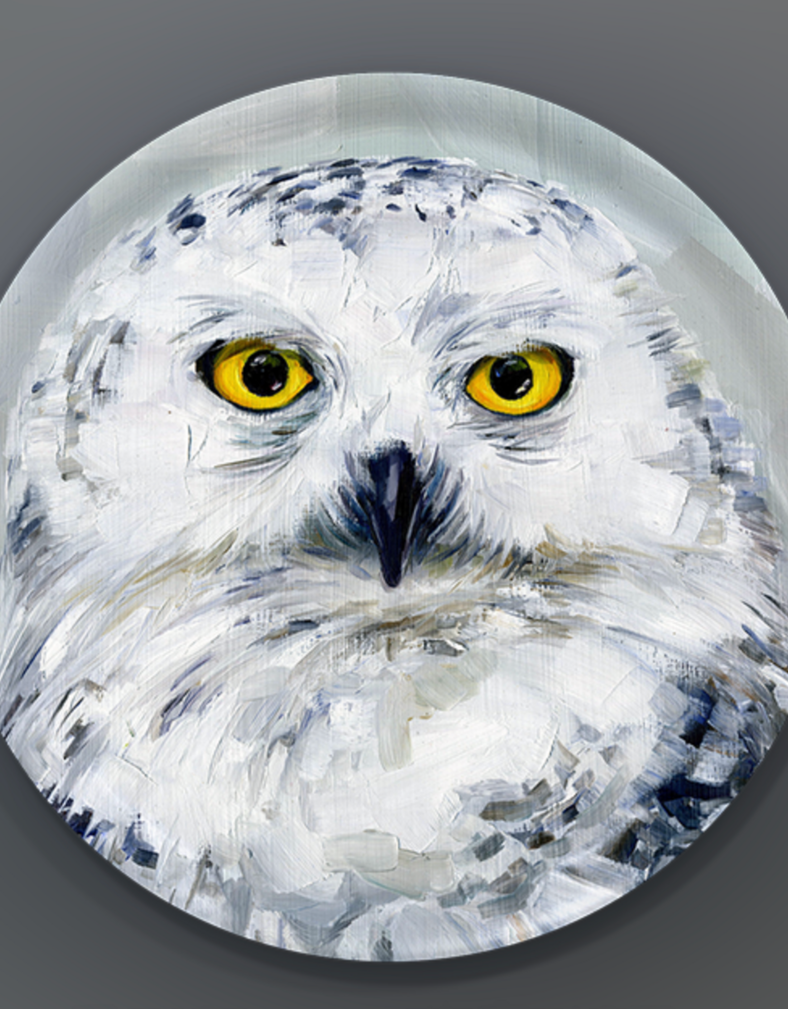 Trays 4 Us Snow Owl Tray